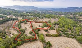 Land 10369 m² in Paphos