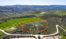 Land 7024 m² in Paphos