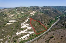 Property 58702 photo 4