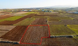 Land 2238 m² in Nicosia