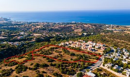 Land 13899 m² in Paphos