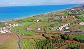 Land 9384 m² in Paphos