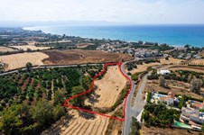 Property 58719 photo 6