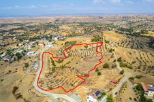 Property 58723 photo 3