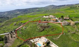 Land 12339 m² in Paphos