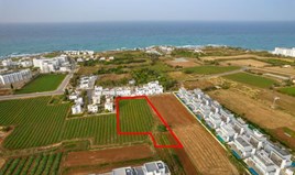 Land 3814 m² in Agia Napa