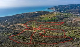 Land 161527 m² in Limassol