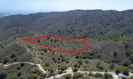 Land 37125 m² in Limassol