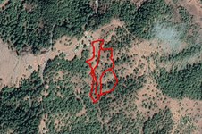 Property 58738 photo 1