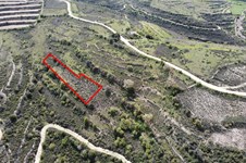 Property 58748 photo 2