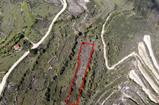 Property 58748 photo 3