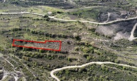 Land 1338 m² in Limassol