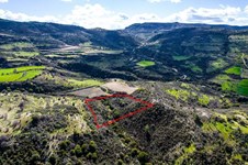 Property 58751 photo 4