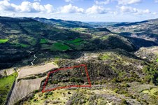 Property 58751 photo 3