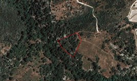 Land 8027 m² in Limassol