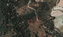 Land 3679 m² in Limassol