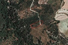 Property 58753 photo 1