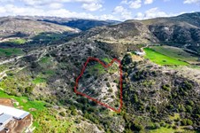 Property 58757 photo 4