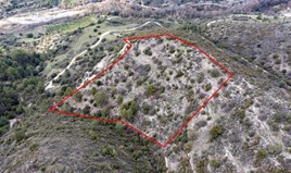 Land 12041 m² in Limassol