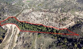 Land 19399 m² in Paphos