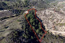 Property 58765 photo 2