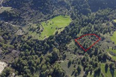 Property 58766 photo 1