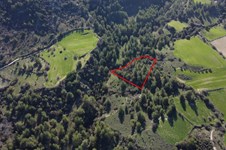 Property 58766 photo 3