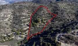 Land 12041 m² in Paphos