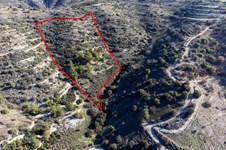 Property 58767 photo 2