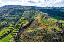 Property 58770 photo 3