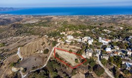 Land 2342 m² in Paphos