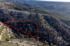 Property 58776 photo 1