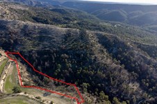 Property 58777 photo 1