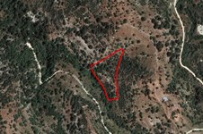 Property 58778 photo 1