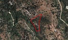 Land 8696 m² in Paphos