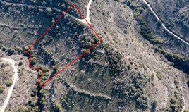 Land 10703 m² in Limassol