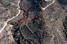 Property 58785 photo 3