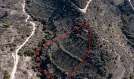 Land 12041 m² in Limassol