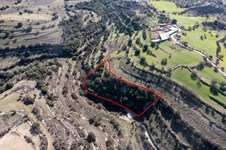 Property 58793 photo 3