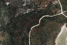 Property 58794 photo 1