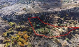 Land 6689 m² in Paphos