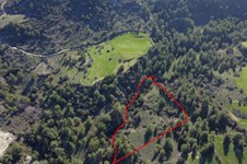 Property 58807 photo 1