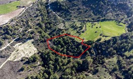 Land 9365 m² in Paphos