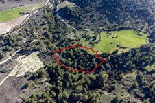 Property 58808 photo 1