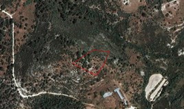 Land 6169 m² in Limassol