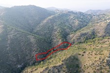 Property 58816 photo 3