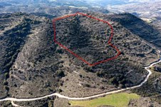 Property 58819 photo 2