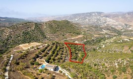 Land 9031 m² in Limassol