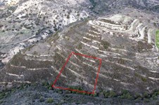 Property 58821 photo 2