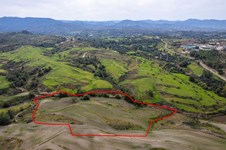 Property 58835 photo 2